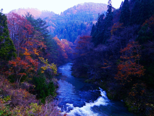 45599 (a): :1600x1200
